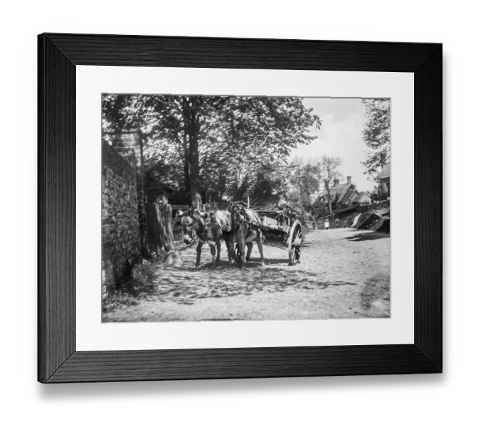 Framed Print : Donkey Cart MCF01_02_1498