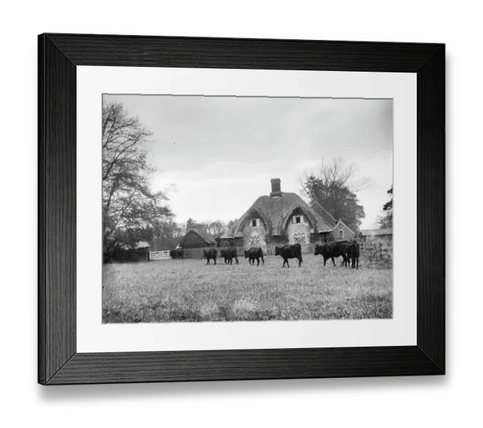 Framed Print : Cottage Ornee MCF01_02_1515