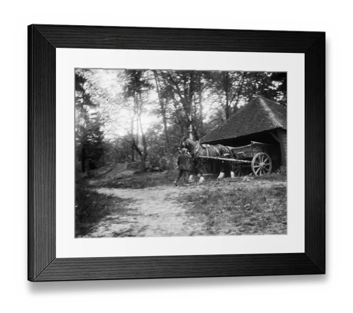 Framed Print : Horse, cart and shed MCF01_02_1554
