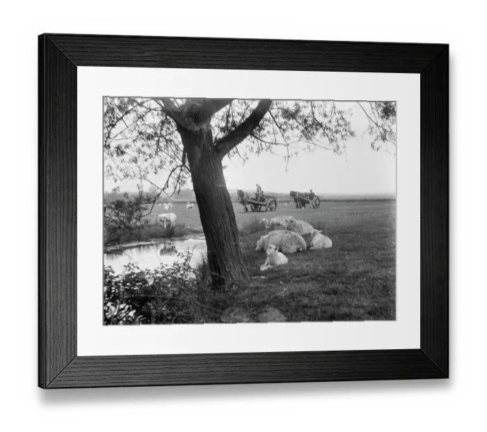 Framed Print : Pond MCF01_02_0896 Framed Print : Pond MCF01_02_0896