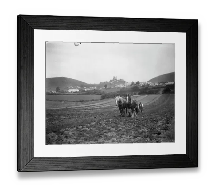 Framed Print : Strip fields MCF01_02_0966