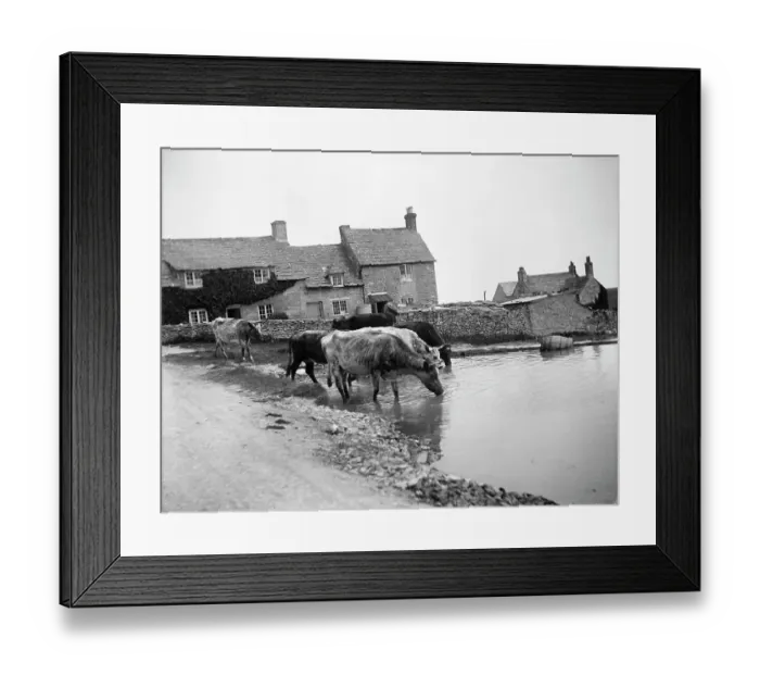 Framed Print : Village pond MCF01_02_0999