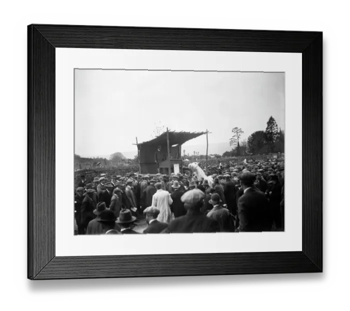 Framed Print : Stow Horse Fair MCF01_02_1051 Framed Print : Stow Horse Fair MCF01_02_1051