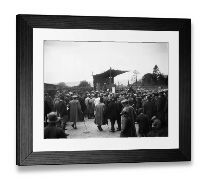 Framed Print : Stow Horse Fair MCF01_02_1052