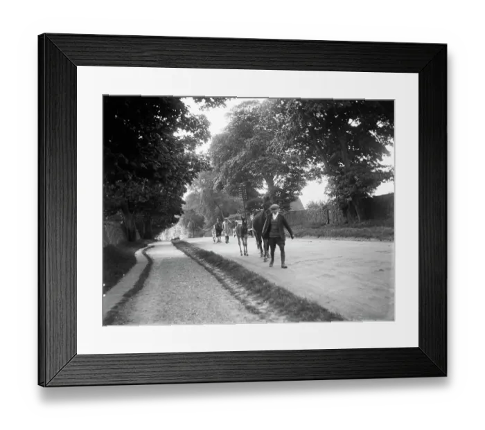 Framed Print : Stow Horse Fair MCF01_02_1054 Framed Print : Stow Horse Fair MCF01_02_1054