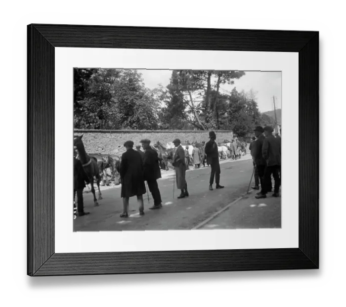 Framed Print : Stow Horse Fair MCF01_02_1055 Framed Print : Stow Horse Fair MCF01_02_1055