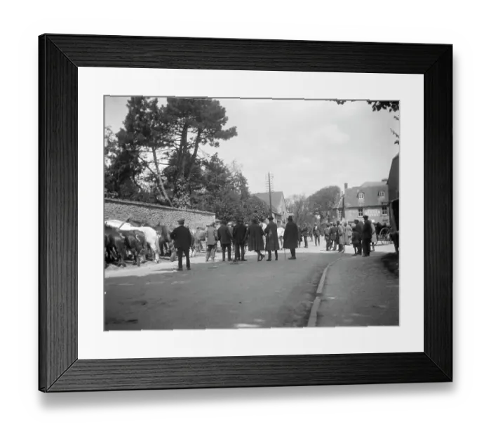 Framed Print : Stow Horse Fair MCF01_02_1058 Framed Print : Stow Horse Fair MCF01_02_1058