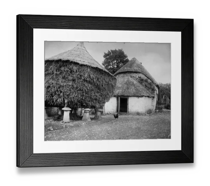 Framed Print : Staddle stone rick MCF01_02_1294