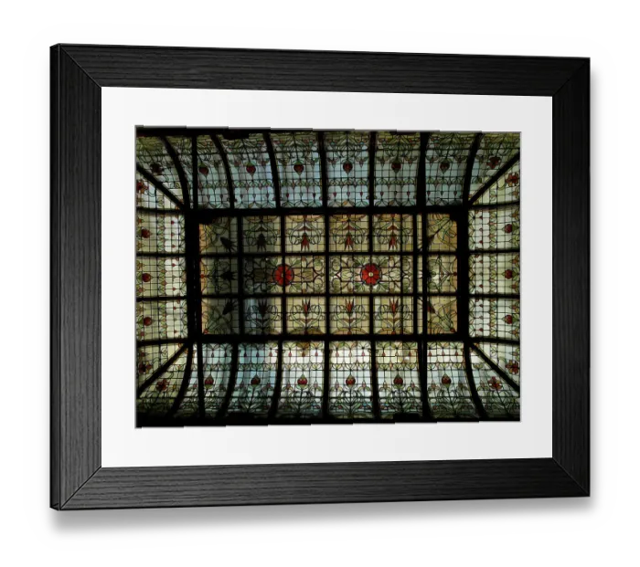 Framed Print : Roof light PLA01_03_0364
