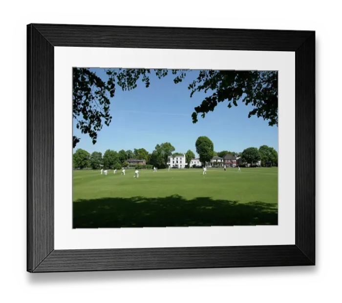 Framed Print : Cricket Green PLA01_03_0463