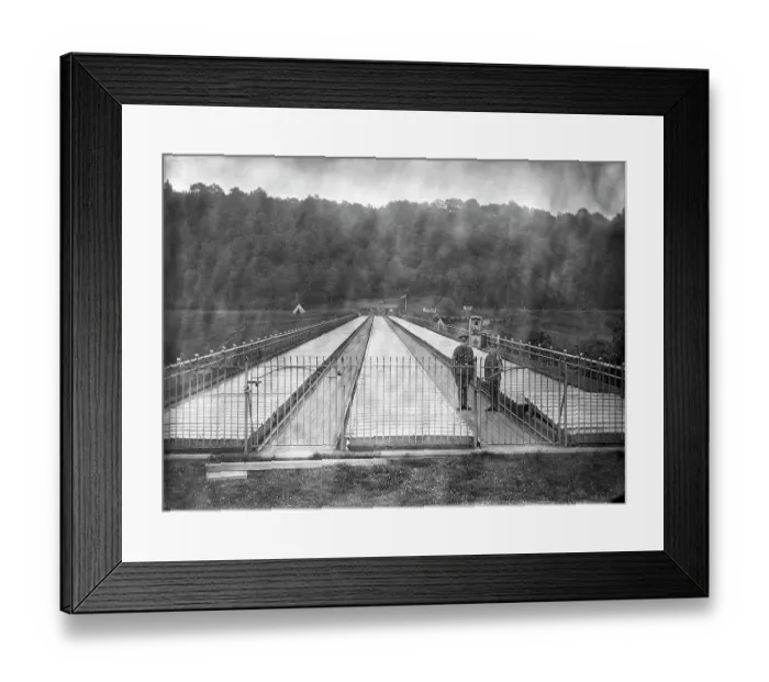 Framed Print : Guarding the Elan Aqueduct BB046202