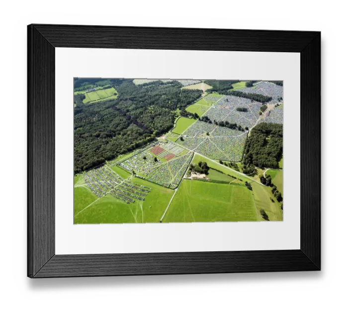 Framed Print : Leeds Festival 34111_004