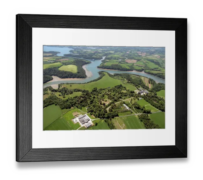 Framed Print : Tregothnan Park 35083_008