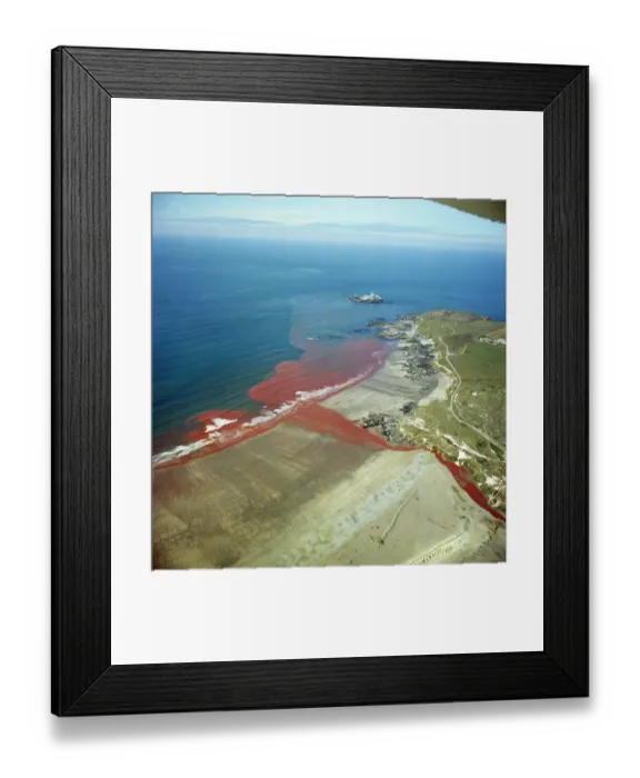 Framed Print : Red River EAC363441 Framed Print : Red River EAC363441