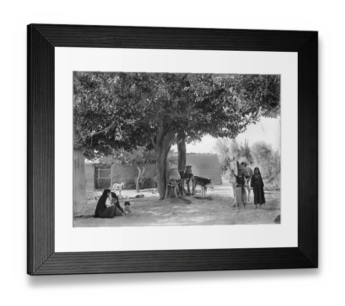 Framed Print : Shady tree EGP_22663_021 Framed Print : Shady tree EGP_22663_021