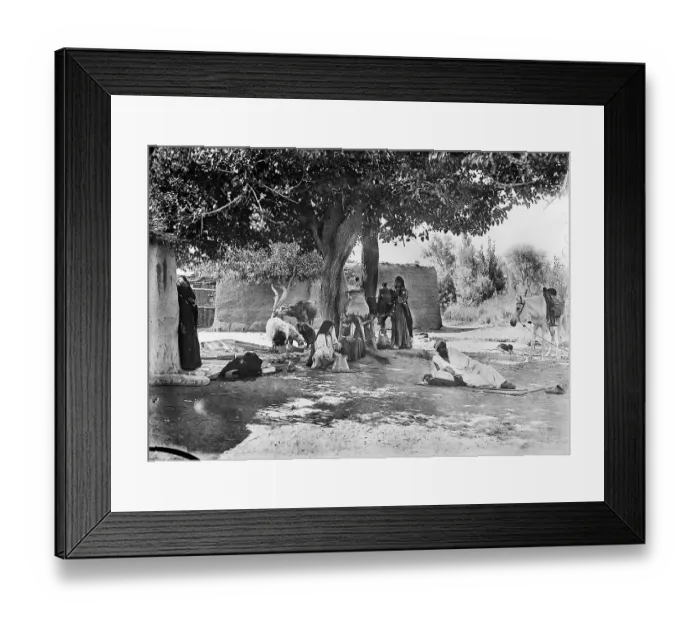 Framed Print : Shady treee EGP_22663_030