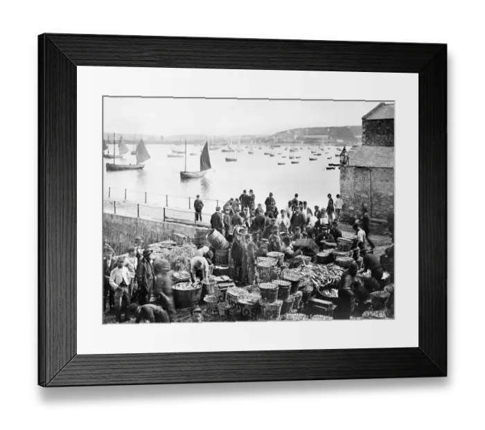 Framed Print : Falmouth fish market CC56_00746 Framed Print : Falmouth fish market CC56_00746
