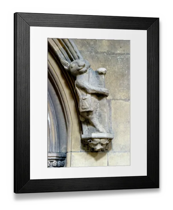 Framed Print : The pilgrim rabbit DP072631