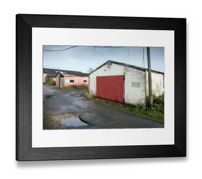 Framed Print : Ash Grove DP174561
