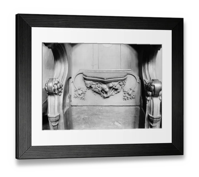 Framed Print : Lion and monkey WSA01_01_E0110