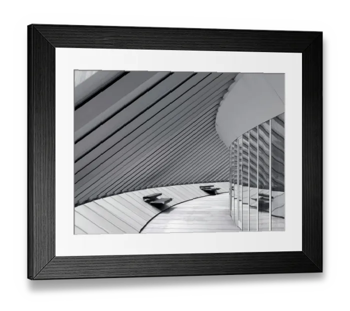 Framed Print : Crescent Wing DP162468