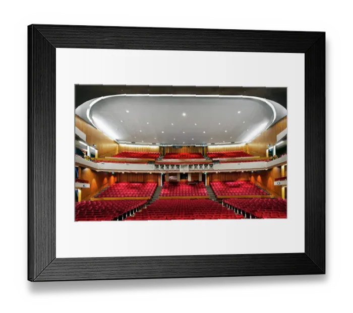 Framed Print : Congress Theatre DP162172 Framed Print : Congress Theatre DP162172