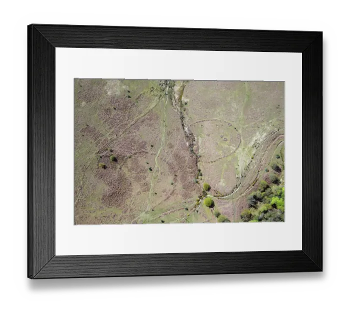 Framed Print : Ugborough Moor 35155_024