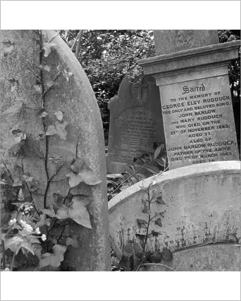 Gravestones, Highgate Cemetery a073399