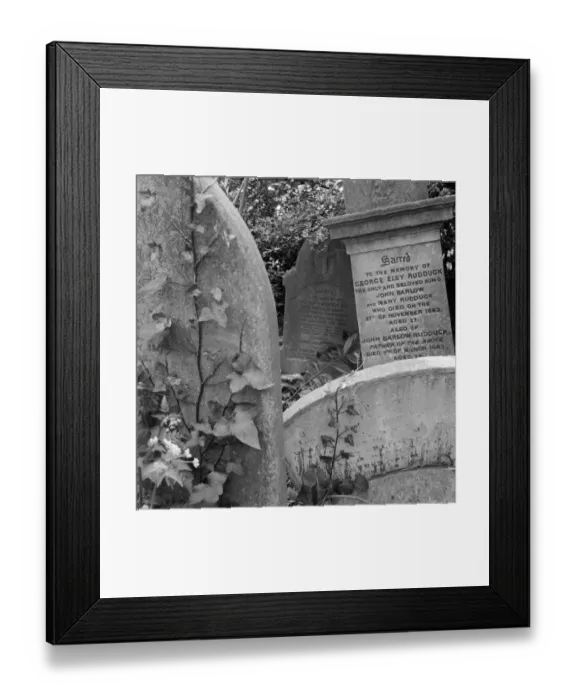Framed Print : Gravestones, Highgate Cemetery a073399