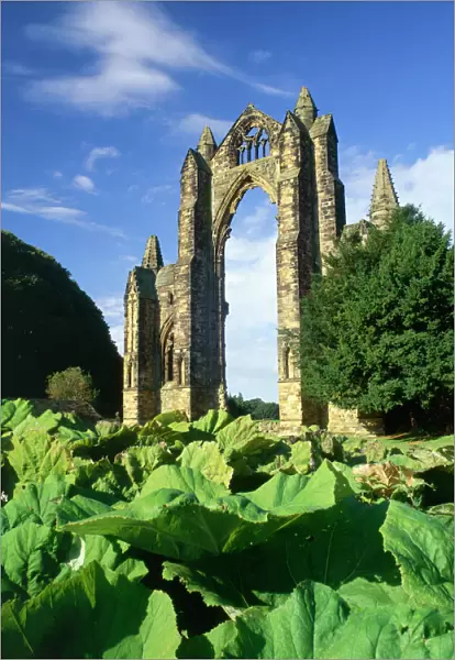 Gisborough Priory K100003