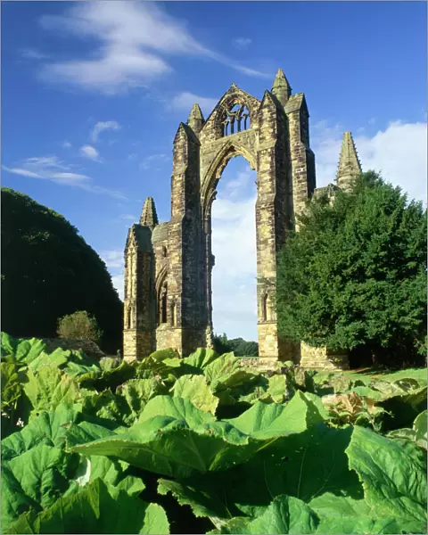 Gisborough Priory K100003