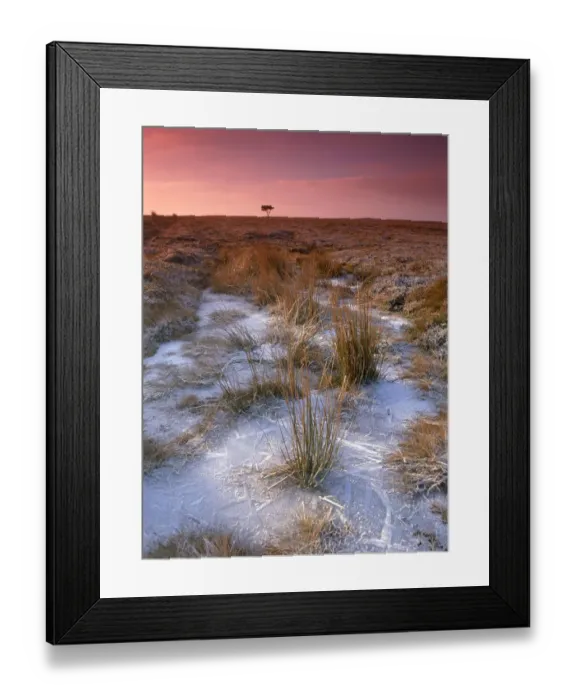 Framed Print : Egton Moor K100005