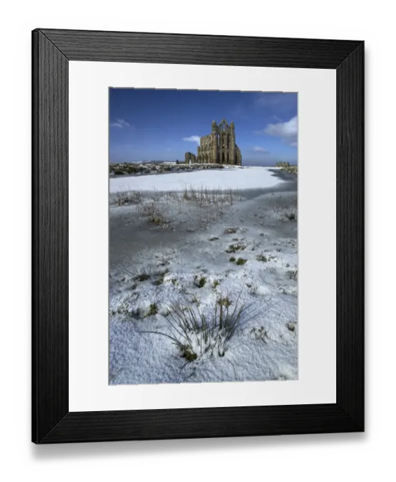 Framed Print : Whitby Abbey N100026