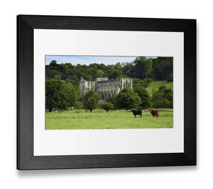 Framed Print : Rievaulx Abbey N100028