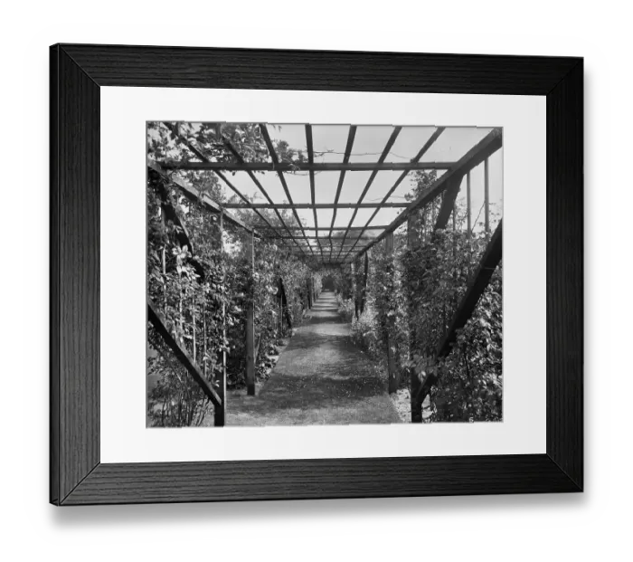 Framed Print : The pergola at Sandycroft BL23602_005