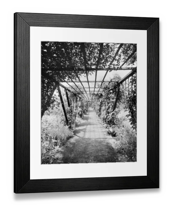 Framed Print : The pergola at Sandycroft BL23602_006