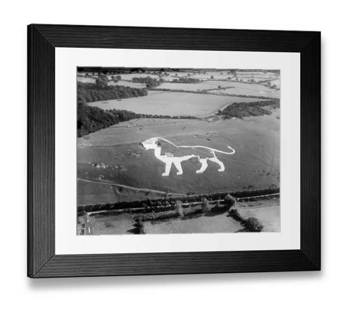 Framed Print : Making a Lion EPW040712