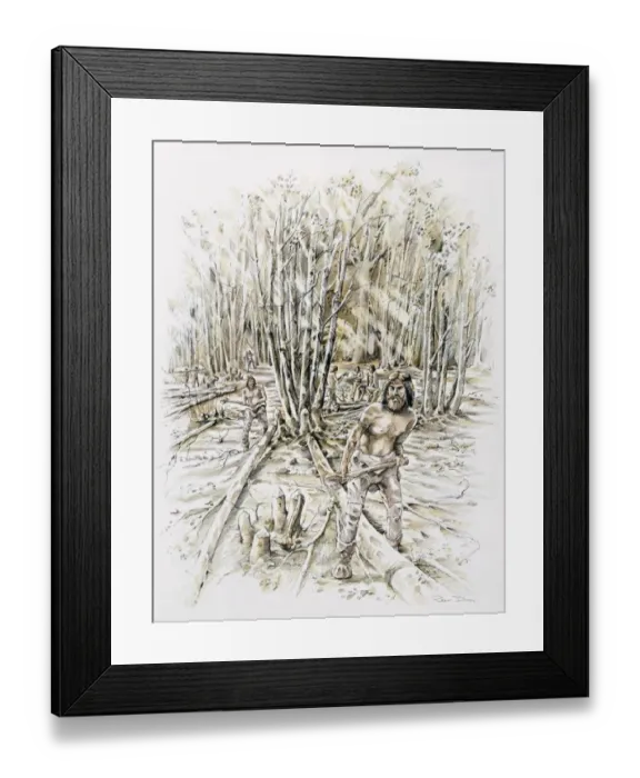 Framed Print : Uses of flint- coppicing J930179 Framed Print : Uses of flint- coppicing J930179