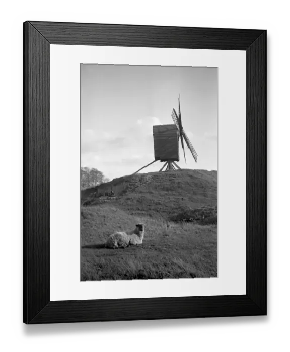 Framed Print : Brill Windmill, Buckinghamshire a81_02141 Framed Print : Brill Windmill, Buckinghamshire a81_02141