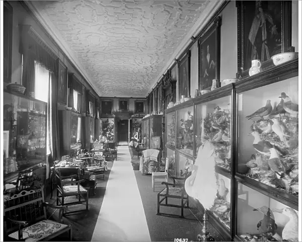 The Picture Gallery, Audley End House DD58_00106