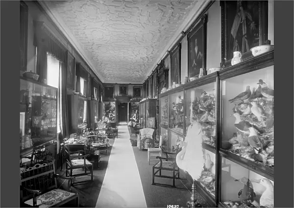 The Picture Gallery, Audley End House DD58_00106