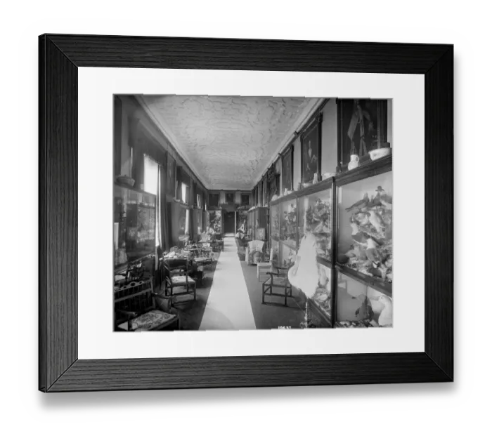 Framed Print : The Picture Gallery, Audley End House DD58_00106