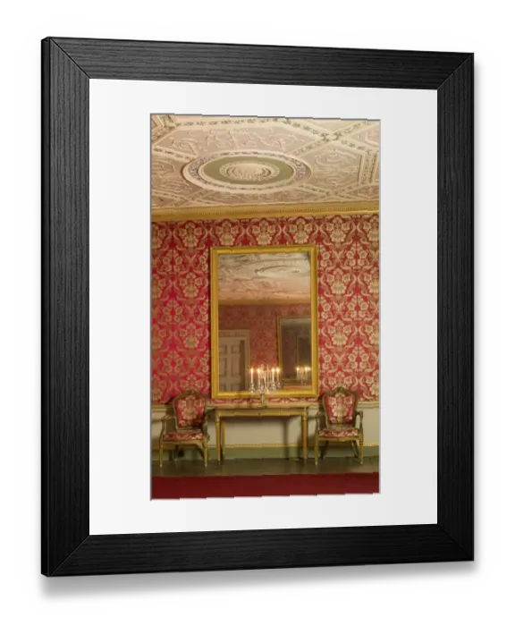 Framed Print : Great Drawing Room, Audley End N081031