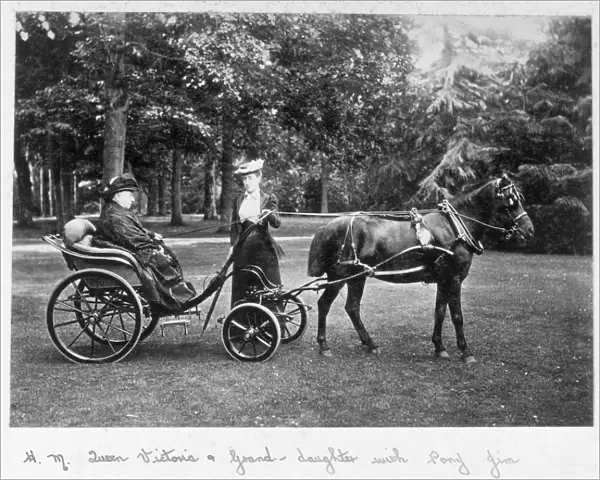 Queen Victoria and grand-daughter with pony Jim D880020a