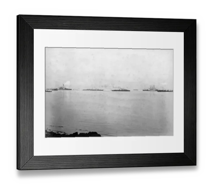Framed Print : Queen Victorias cortege D880022