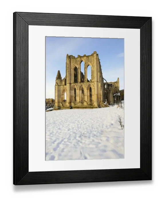 Framed Print : Rievaulx Abbey N100124