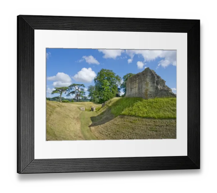 Framed Print : Sherborne Old Castle N100198 Framed Print : Sherborne Old Castle N100198