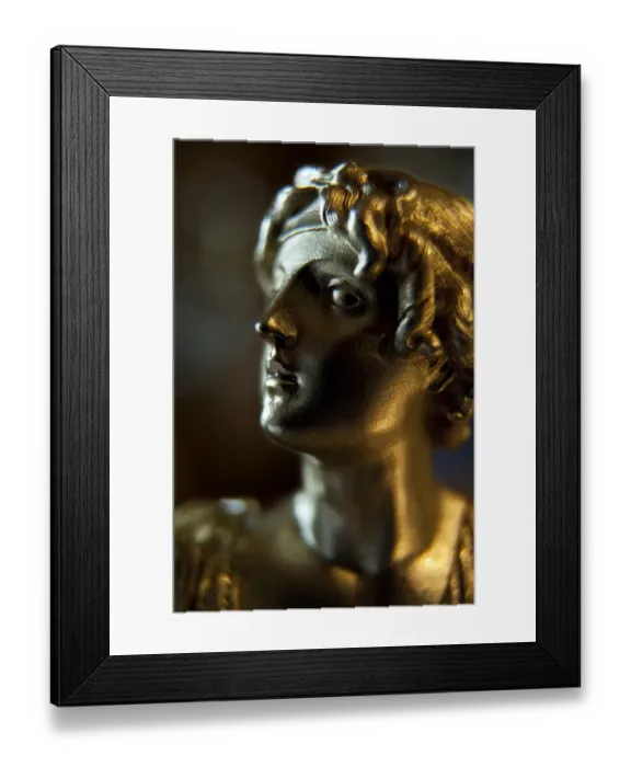 Framed Print : Portuguese Service, Apsley House N100206 Framed Print : Portuguese Service, Apsley House N100206
