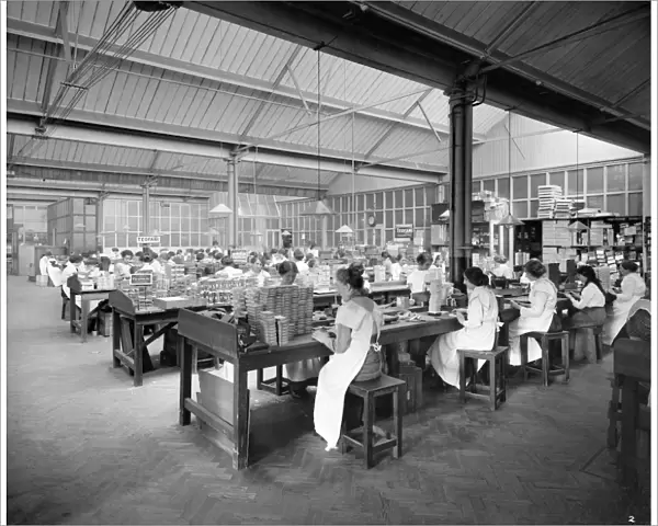 Teofani Factory 1916 BL23660_002