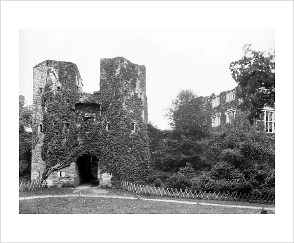 Berry Pomeroy Castle in 1901 BB98_06418